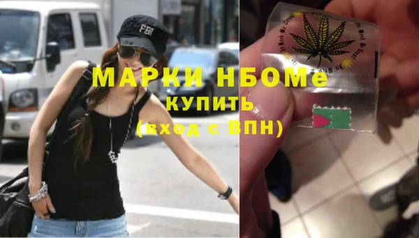 индика Богданович