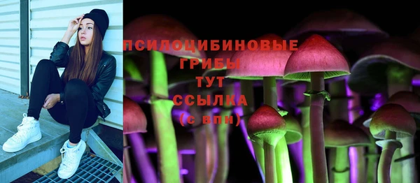 spice Богородск