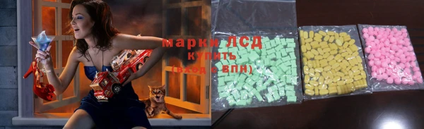 spice Богородск
