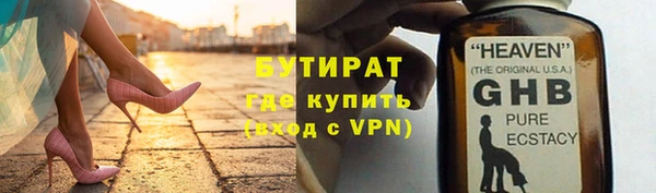 индика Богданович