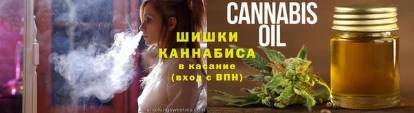 индика Богданович