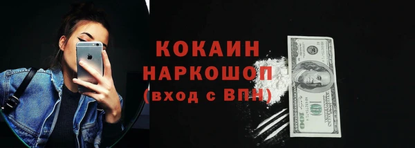 индика Богданович