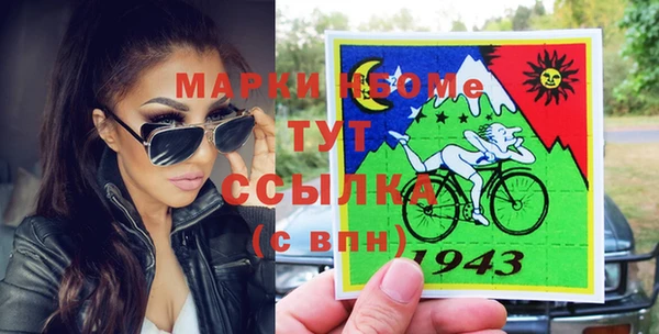 индика Богданович