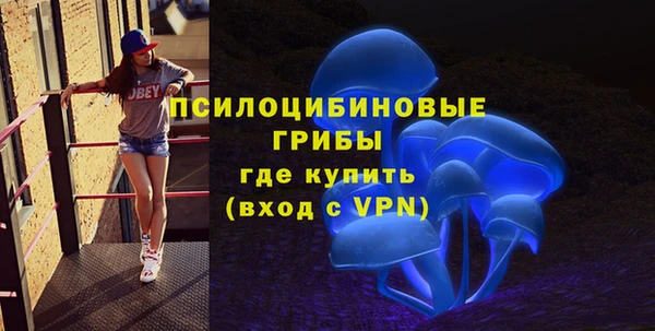 spice Богородск