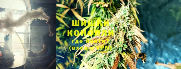 spice Богородск