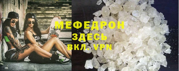 индика Богданович