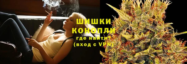 индика Богданович