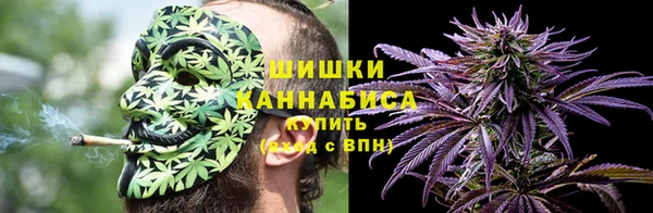spice Богородск
