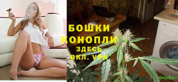 spice Богородск