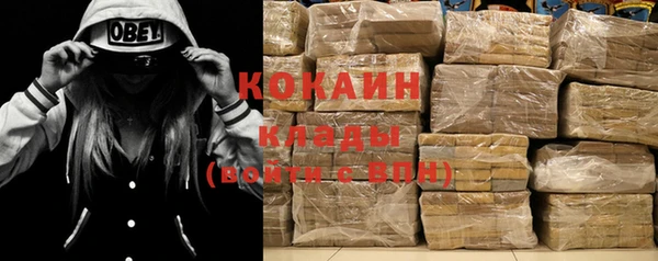 индика Богданович