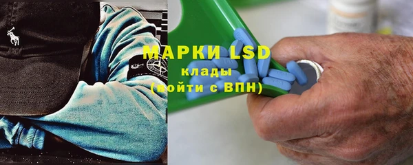 индика Богданович