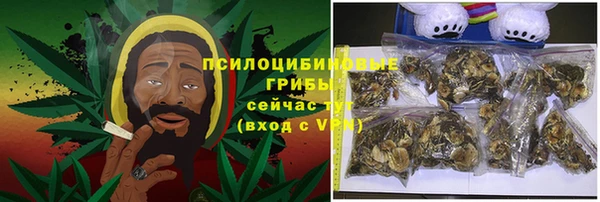 индика Богданович