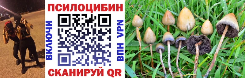 Галлюциногенные грибы Cubensis где можно купить наркотик Борисоглебск