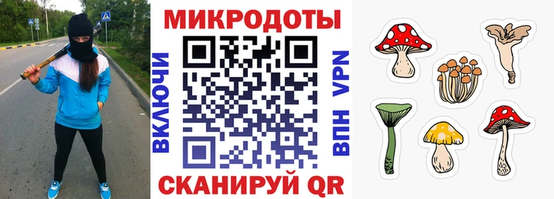 Псилоцибиновые грибы ЛСД Борисоглебск