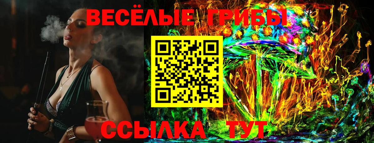 цена   Галлюциногенные грибы прущие грибы  Псилоцибиновые грибы MAGIC MUSHROOMS  Вход с VPN  Борисоглебск 